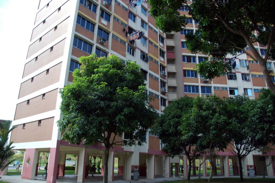 Blk 246 Bangkit Road (Bukit Panjang), HDB 5 Rooms #218542